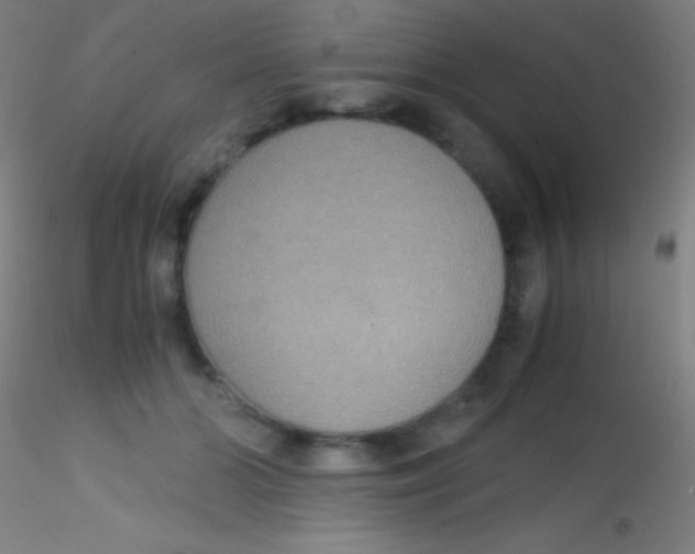 X0000115180510200911251400