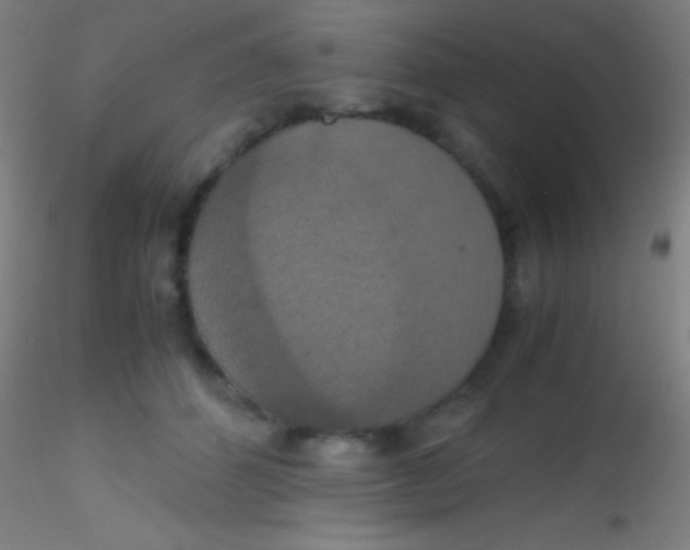 X0000115180512200911251400