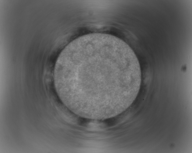 X0000115180515200911251400