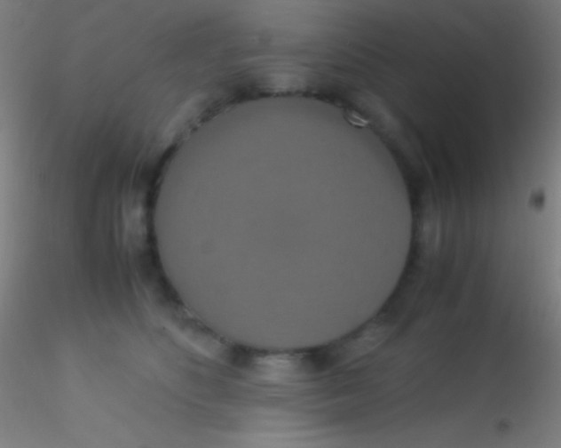 X0000115180516200911251400