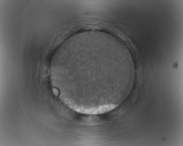 X0000115180517200911251359