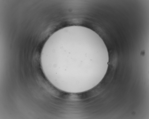 X0000115180518200911251359