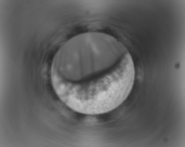 X0000115180519200911251359