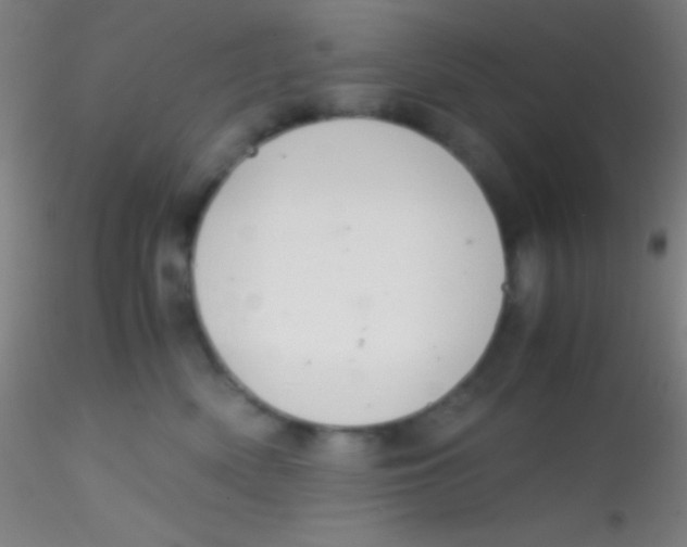 X0000115180522200911251359