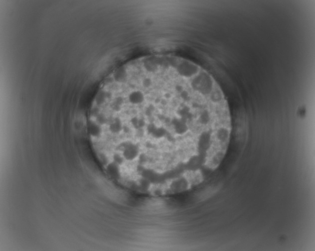 X0000115180523200911251359