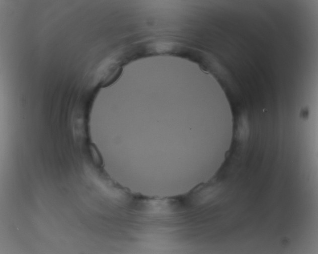 X0000115180524200911251359