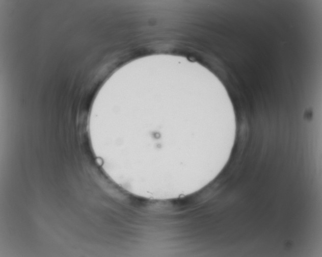 X0000115180525200911251359