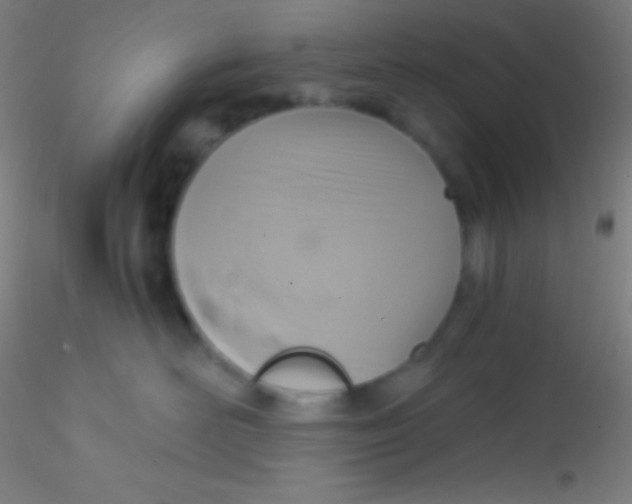 X0000115180526200911251359