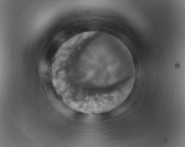 X0000115180527200911251359