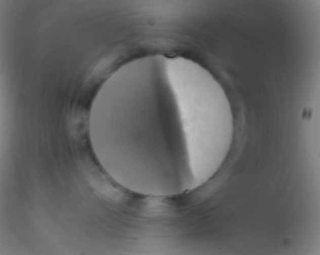 X0000115180528200911251359
