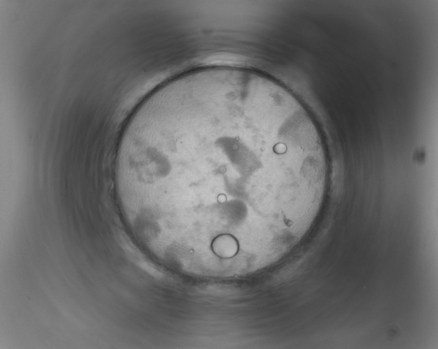 X0000115180529200911251359