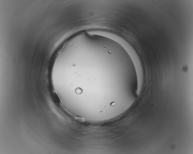 X0000115180534200911251359