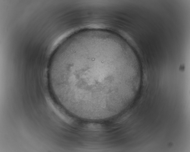 X0000115180535200911251359