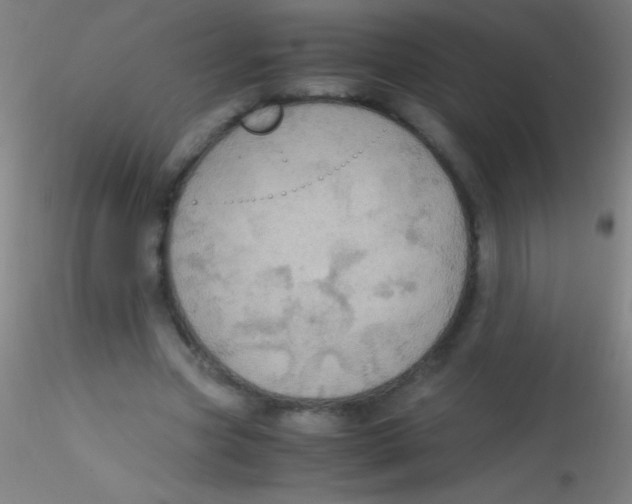 X0000115180537200911251359