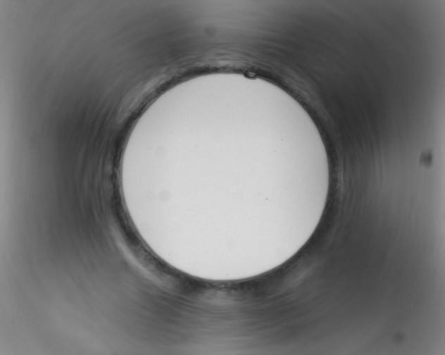 X0000115180538200911251359