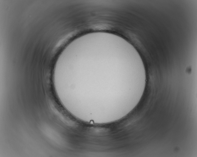 X0000115180539200911251359