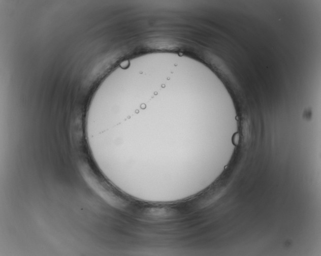 X0000115180541200911251359
