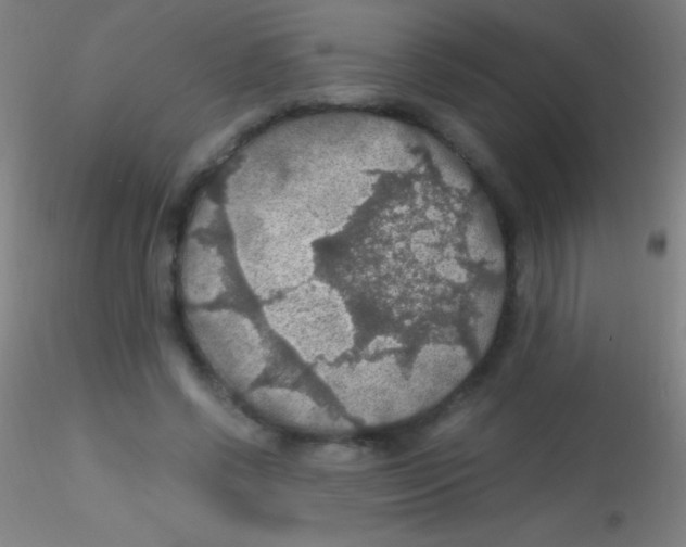 X0000115180542200911251359