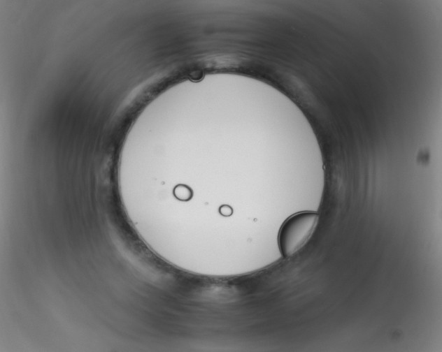 X0000115180543200911251359