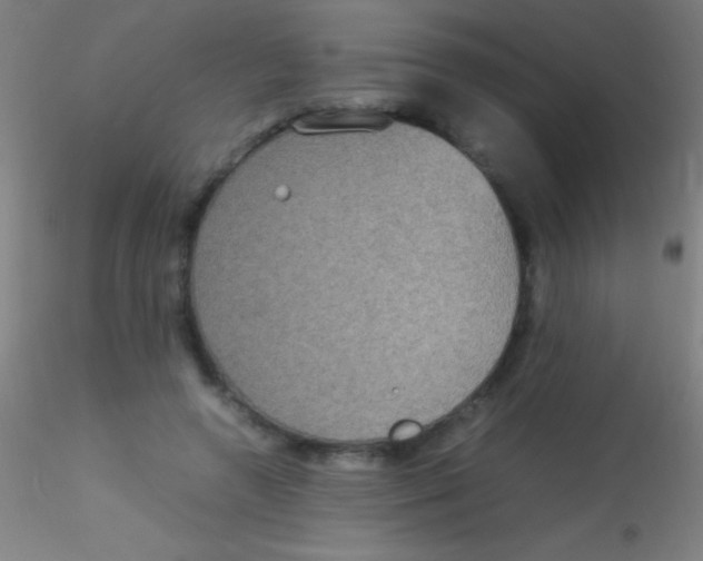X0000115180546200911251359