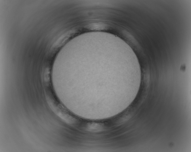 X0000115180549200911251359