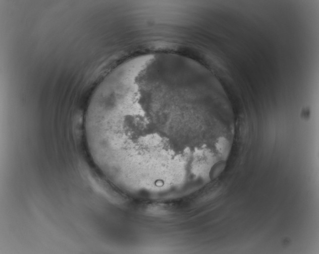 X0000115180550200911251359