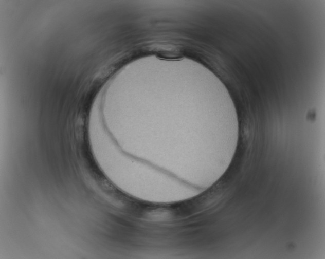 X0000115180551200911251359