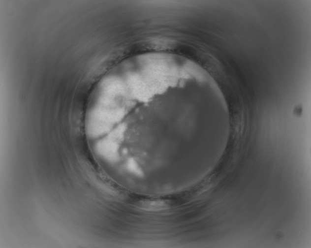 X0000115180553200911251359