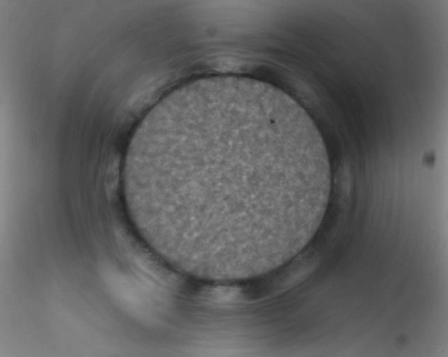 X0000115180554200911251359