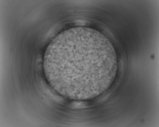X0000115180557200911251359