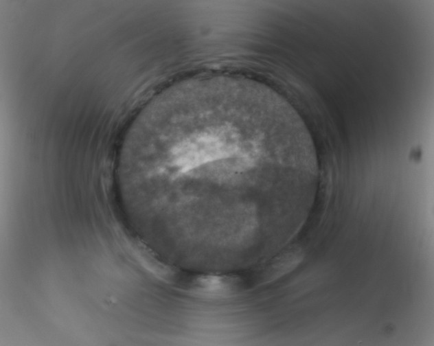 X0000115180558200911251359