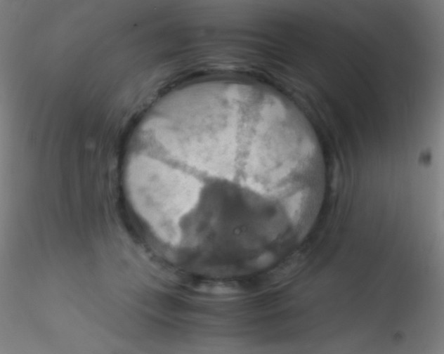 X0000115180559200911251359