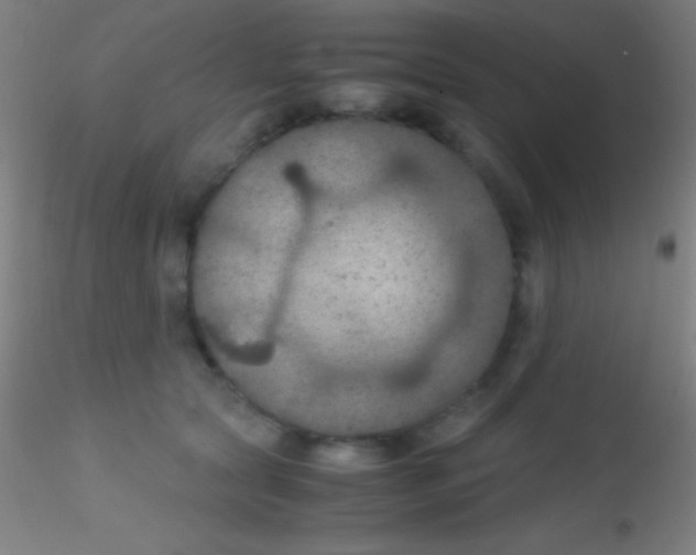 X0000115180561200911251359