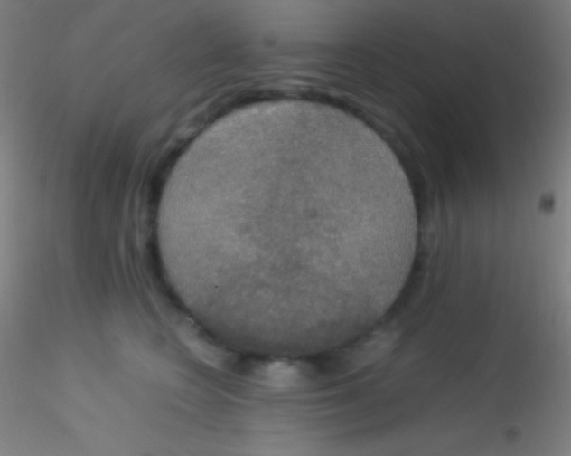 X0000115180566200911251359