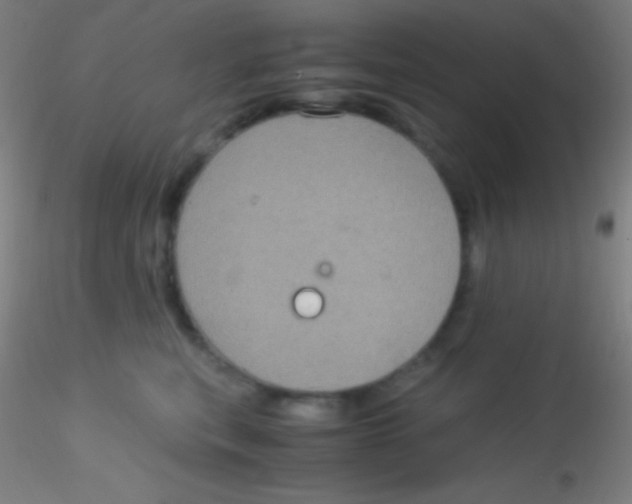 X0000115180567200911251359
