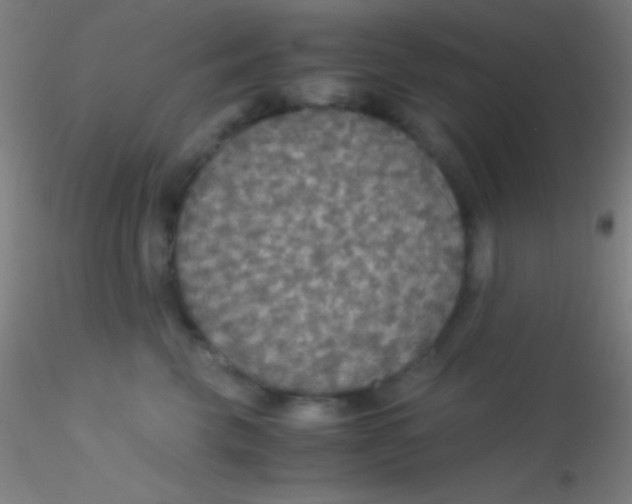 X0000115180569200911251359