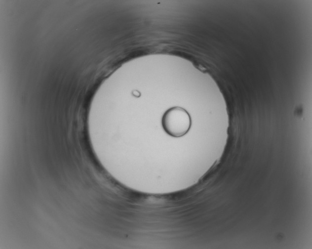 X0000115180570200911251359