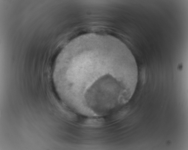 X0000115180571200911251359