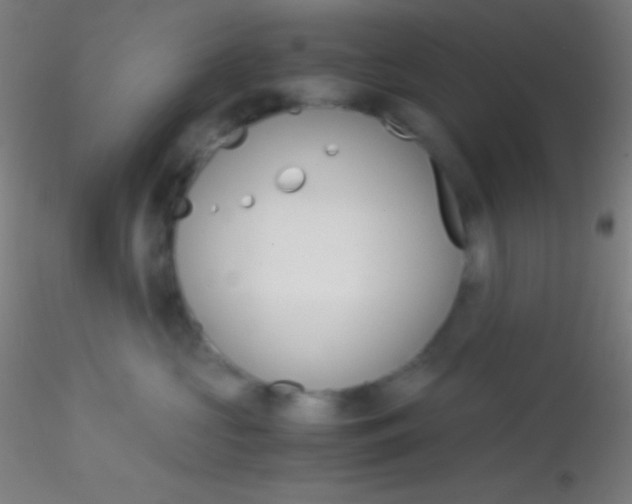 X0000115180573200911251359