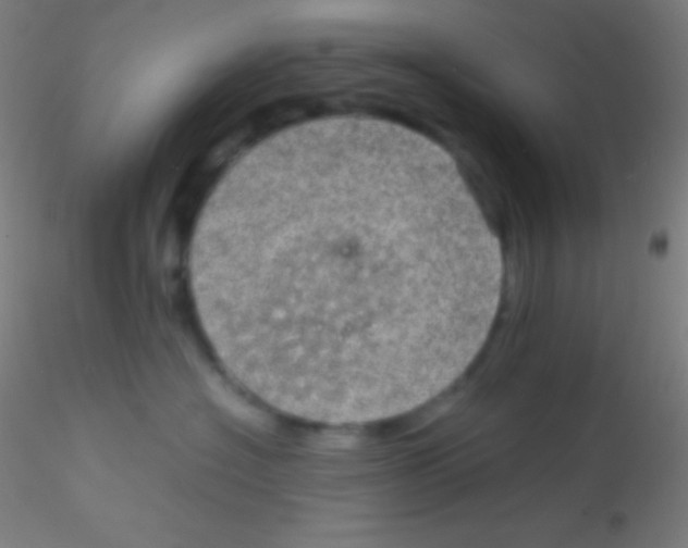 X0000115180574200911251359