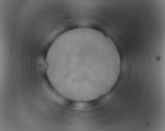 X0000115180575200911251359