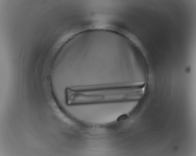 X0000115180577200911251359