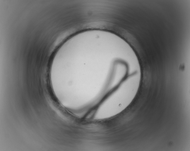 X0000115180578200911251359
