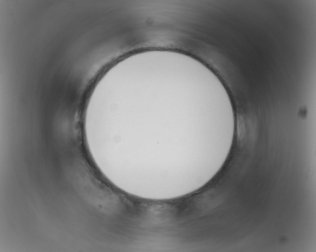 X0000115180579200911251359