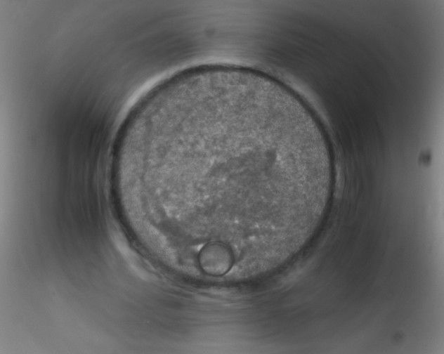 X0000115180580200911251359