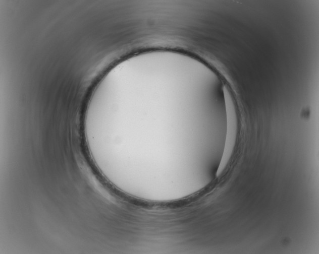 X0000115180581200911251359