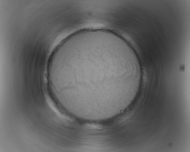 X0000115180582200911251359