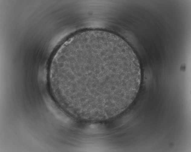 X0000115180584200911251359