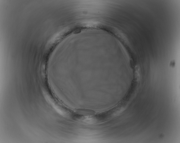X0000115180589200911251359