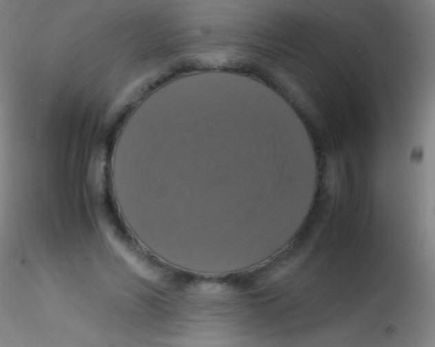 X0000115180590200911251358